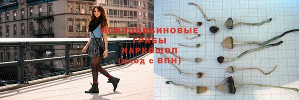 скорость Зеленокумск